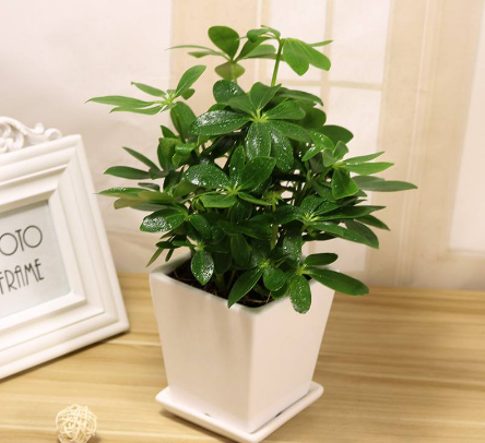 深圳辦公家具哪家好 深圳辦公家具哪家好